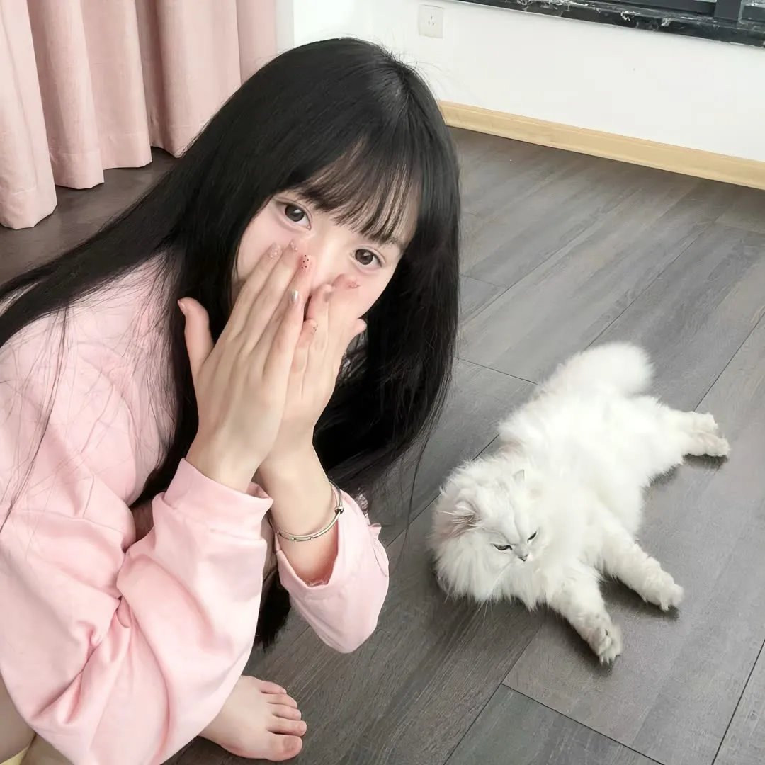 乐丹西亚：魔法王国的传说